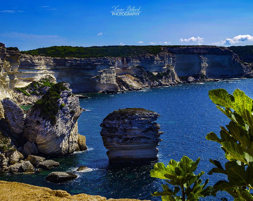 Bonifacio